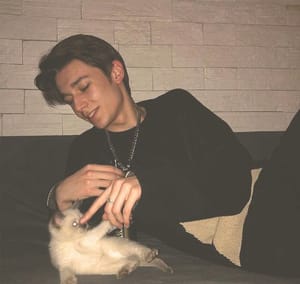 Ảnh đại diện người dùng Thanh Mai